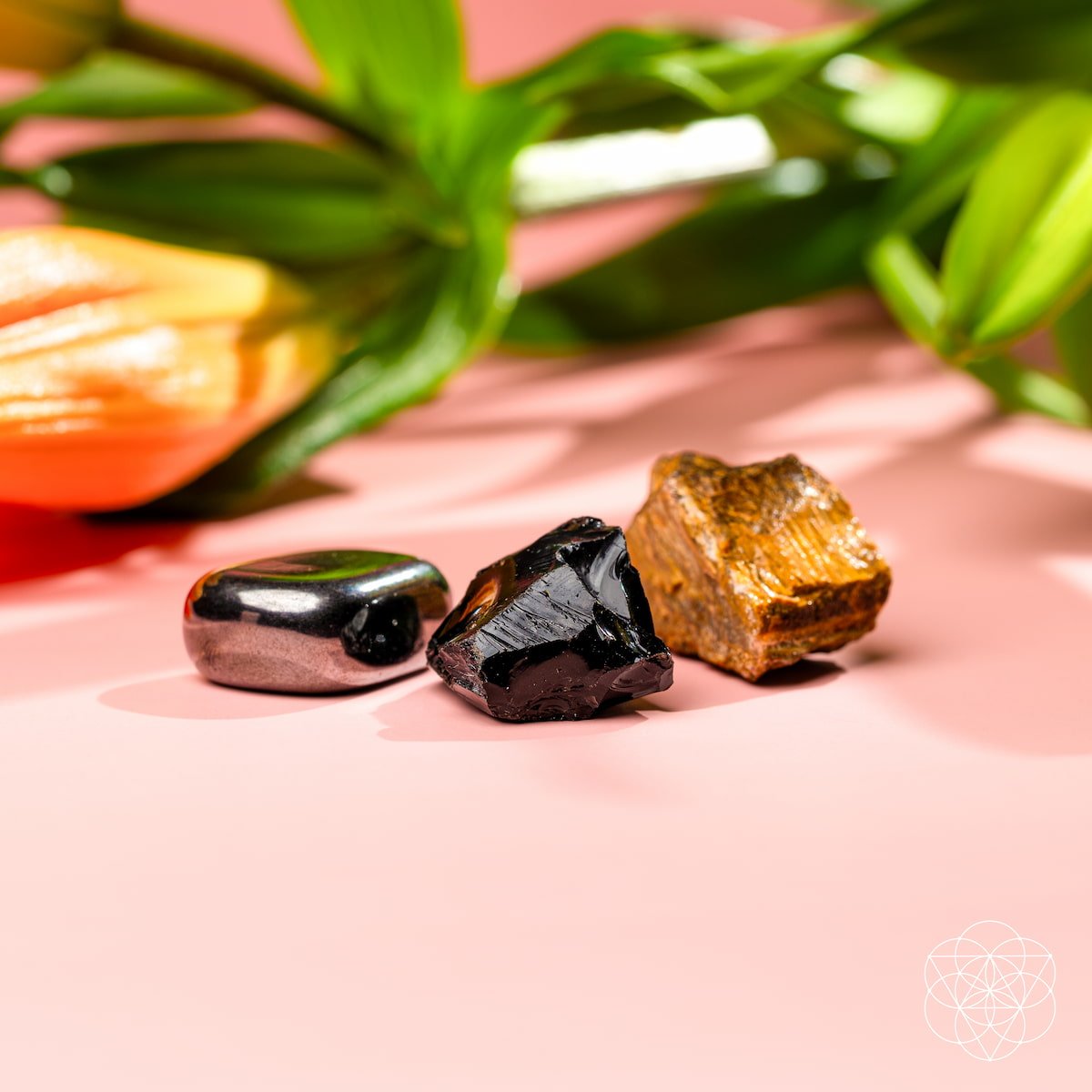 The Triple Protection Trio - Conscious Items