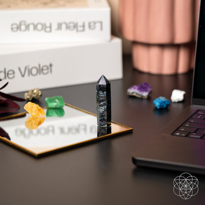 This Is Your Breakthrough – Rare Arfvedsonite Point - Conscious Items