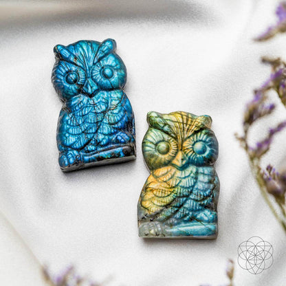 Token of Wisdom - Labradorite Owl Talisman - Conscious Items
