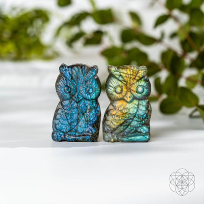 Token of Wisdom - Labradorite Owl Talisman - Conscious Items