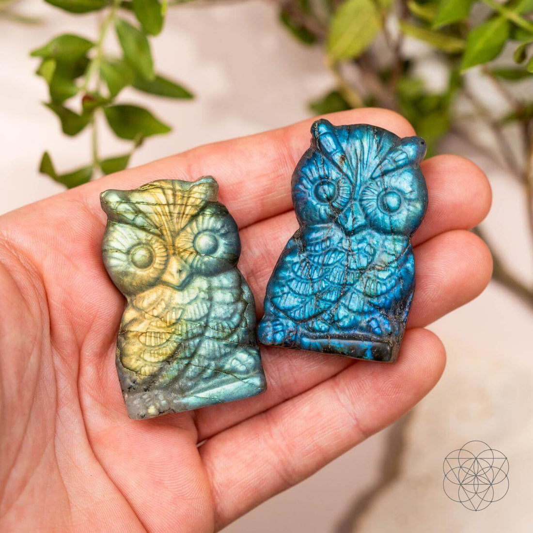 Token of Wisdom - Labradorite Owl Talisman - Conscious Items