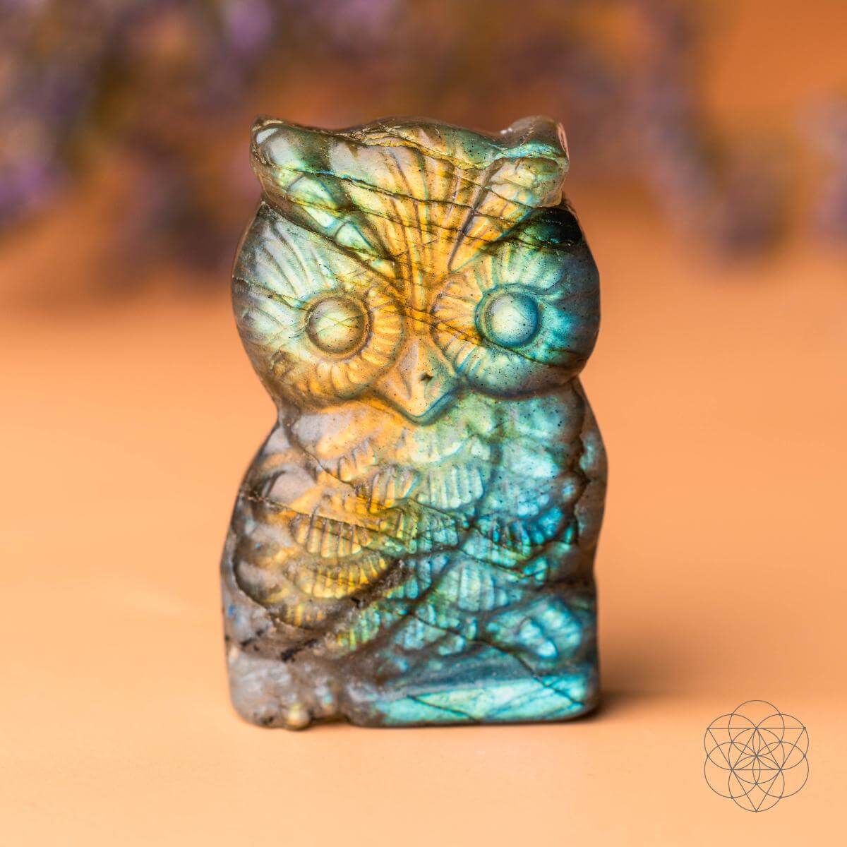 Token of Wisdom - Labradorite Owl Talisman - Conscious Items