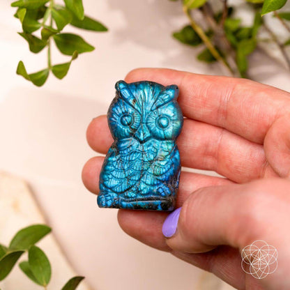 Token of Wisdom - Labradorite Owl Talisman - Conscious Items