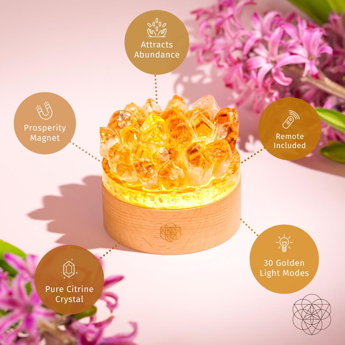 Turn My Life to Gold - Midas Citrine Lamp - Conscious Items