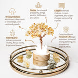 Thumbnail for Golden Lamp of Wealth - Citrine Tree