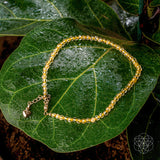 Thumbnail for The Abundance Anklet