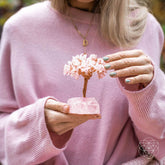 Home Sweet Home - Feng Shui Rose Quartz Tree - Conscious Items