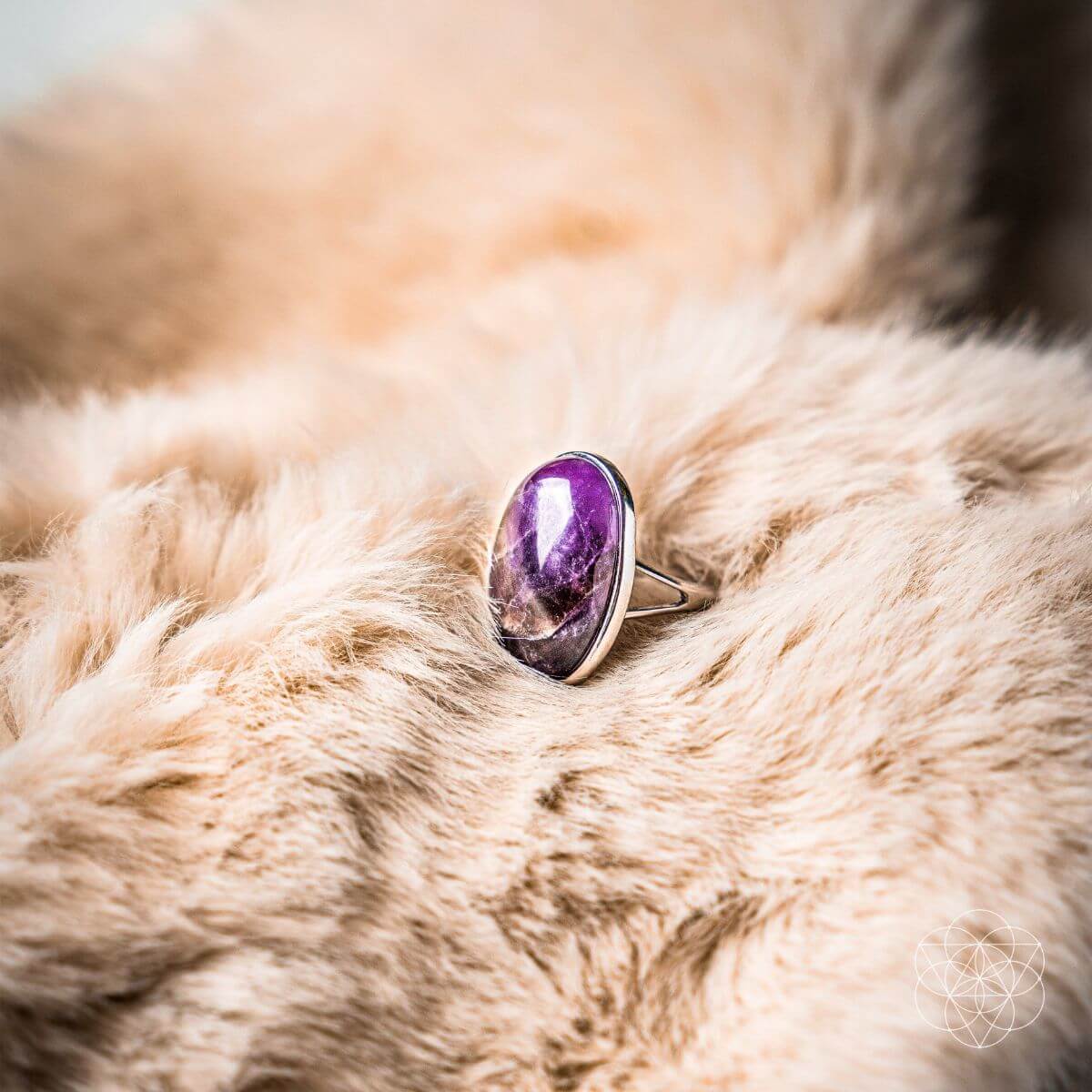 The Visualization Ring - Conscious Items