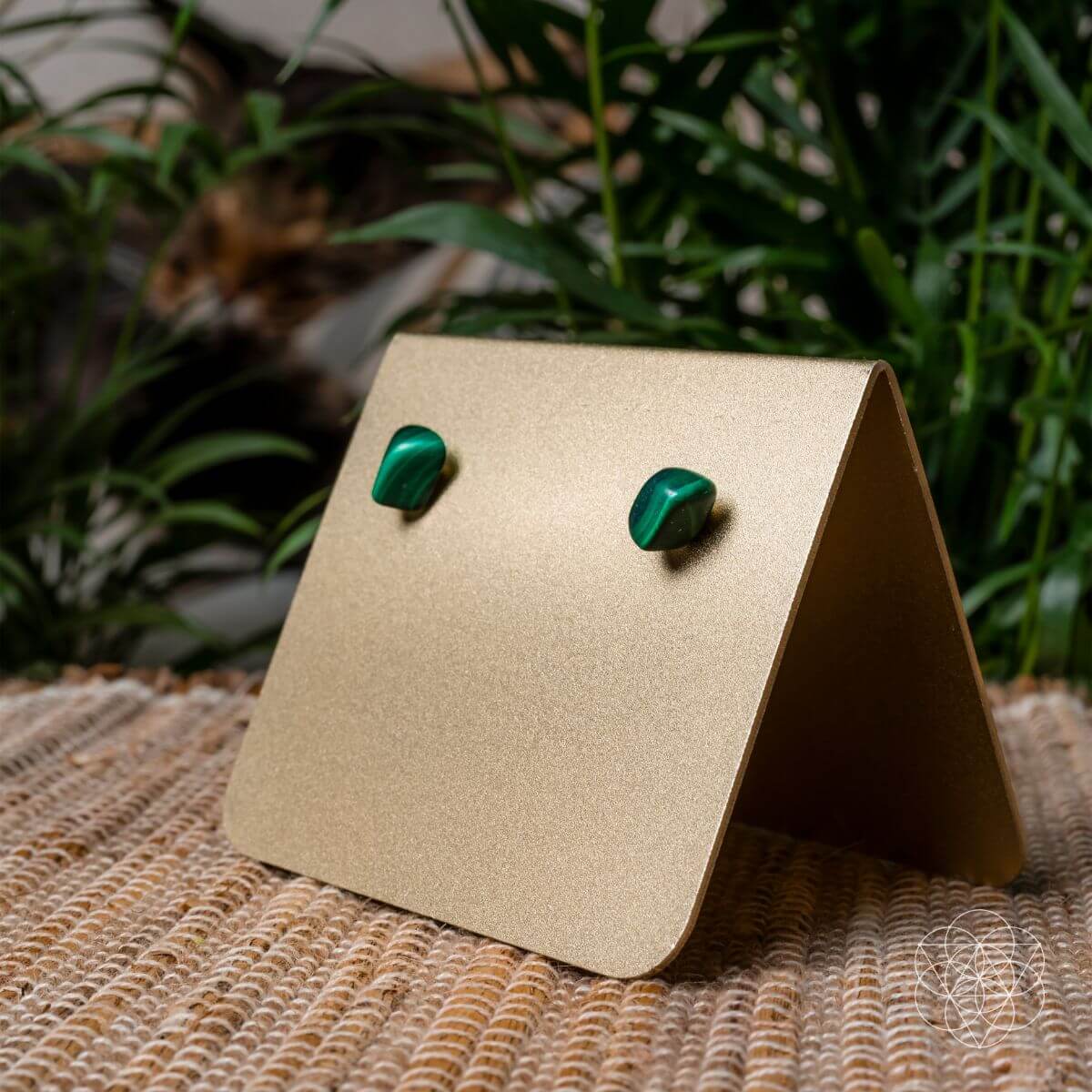 Wealth and Abundance Earring Set - Conscious Items