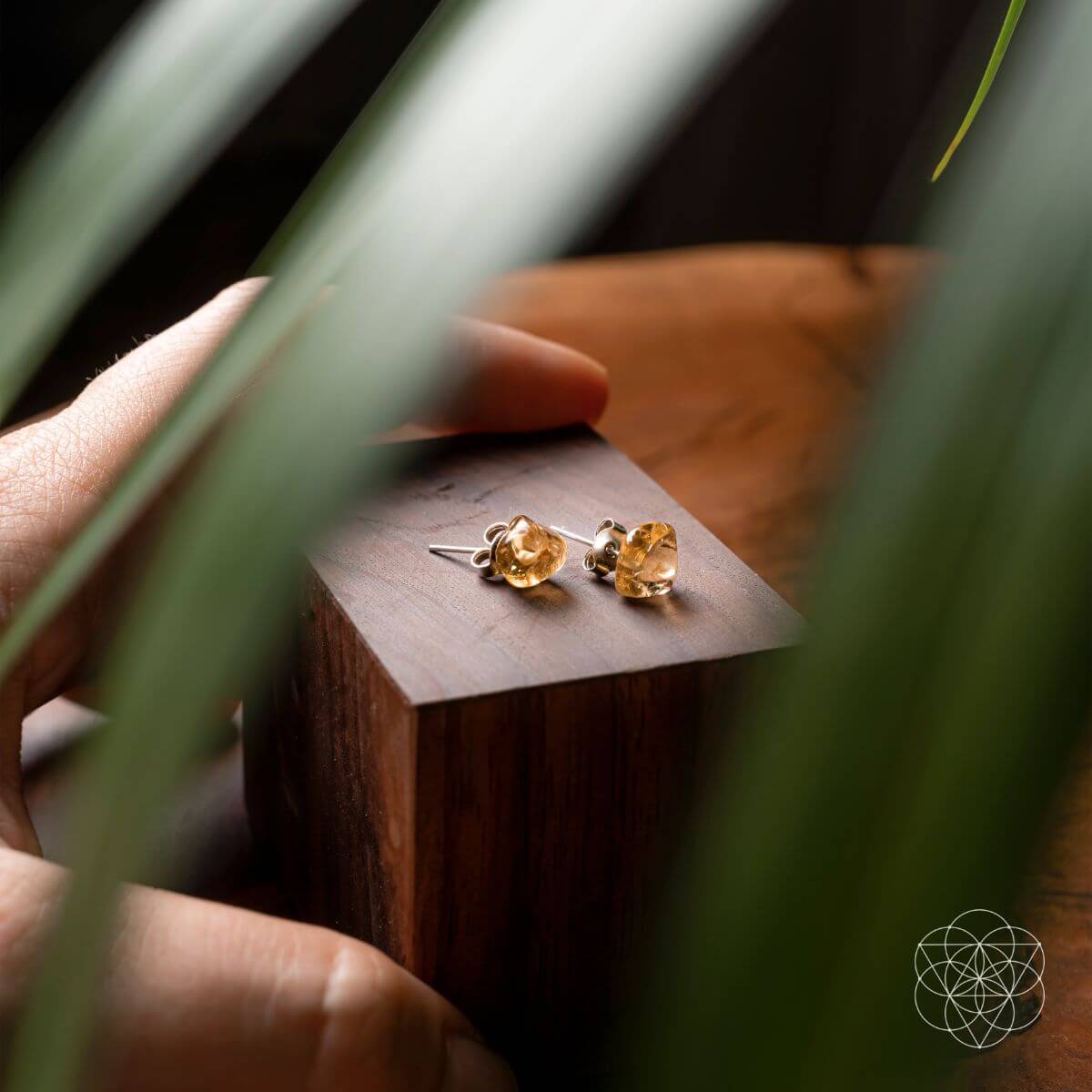 Wealth and Abundance Earring Set - Conscious Items